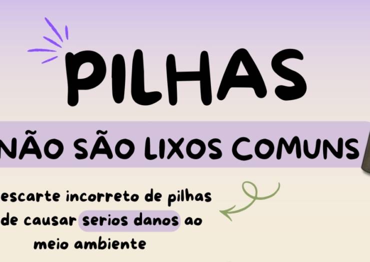 8ºA promove projeto de coleta de pilhas e incentiva o cuidado com o meio ambiente